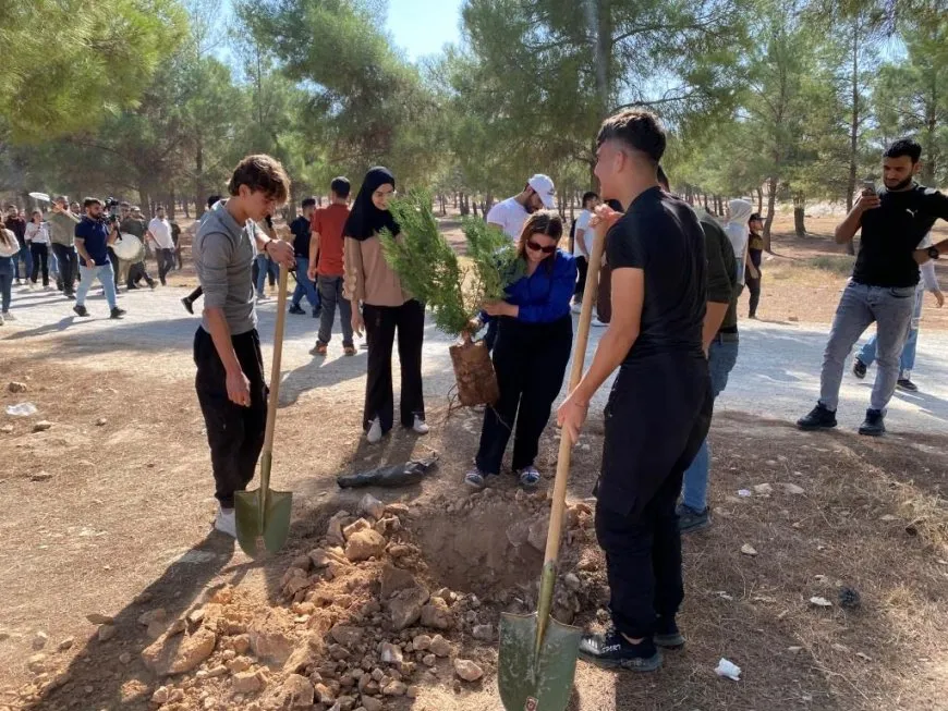 Komên şanoyê dar çandin
