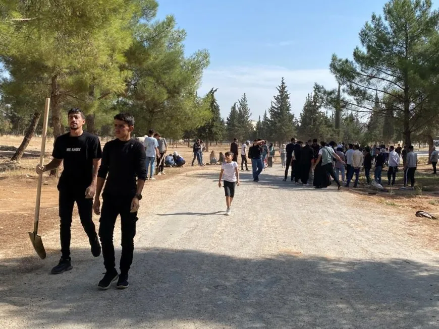 Komên şanoyê dar çandin