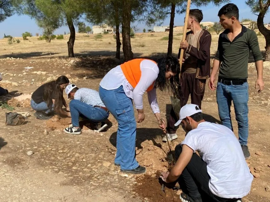 Komên şanoyê dar çandin