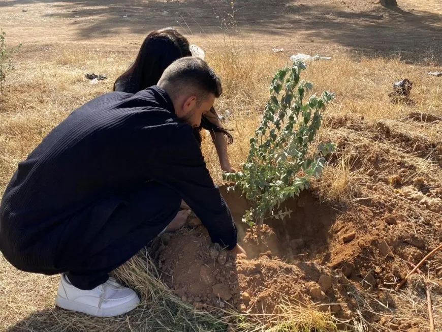 Komên şanoyê dar çandin