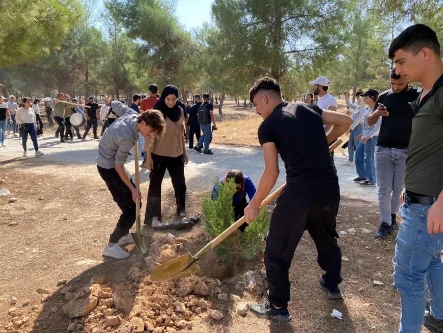 Komên şanoyê dar çandin