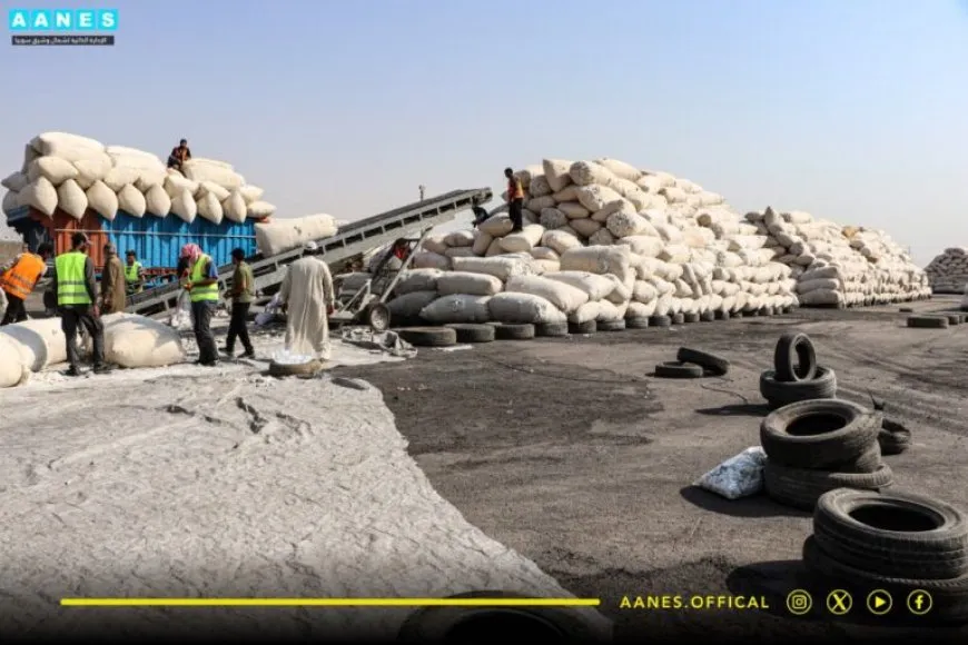 Rêveberiya Xweser 8 hezar 600 ton pembo wergirtiye