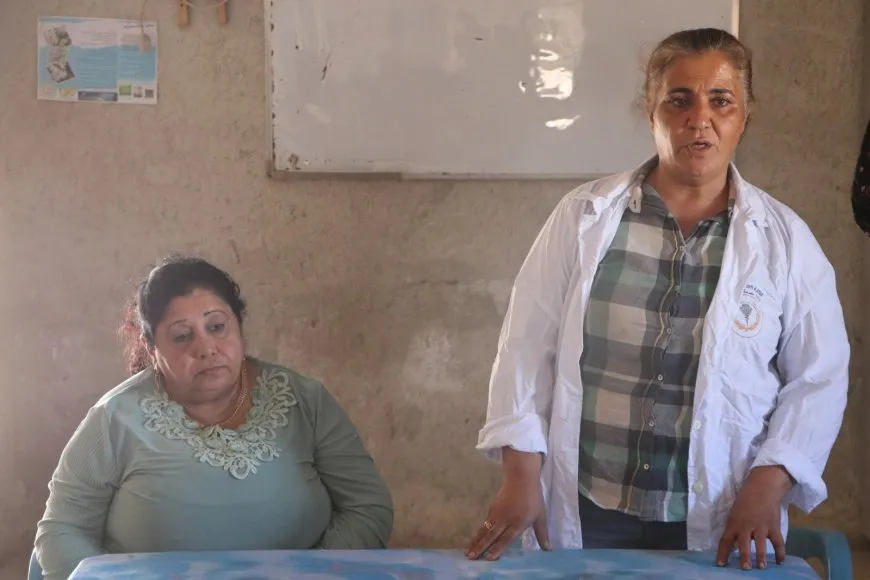 Li Şehbayê têkildarî penceşêra pêsîrê semîner