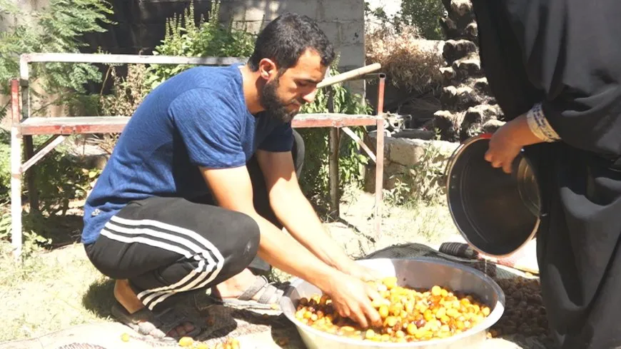Bajarokê Baxozê pêdiviya xwe ji xurmeyan peyda dike