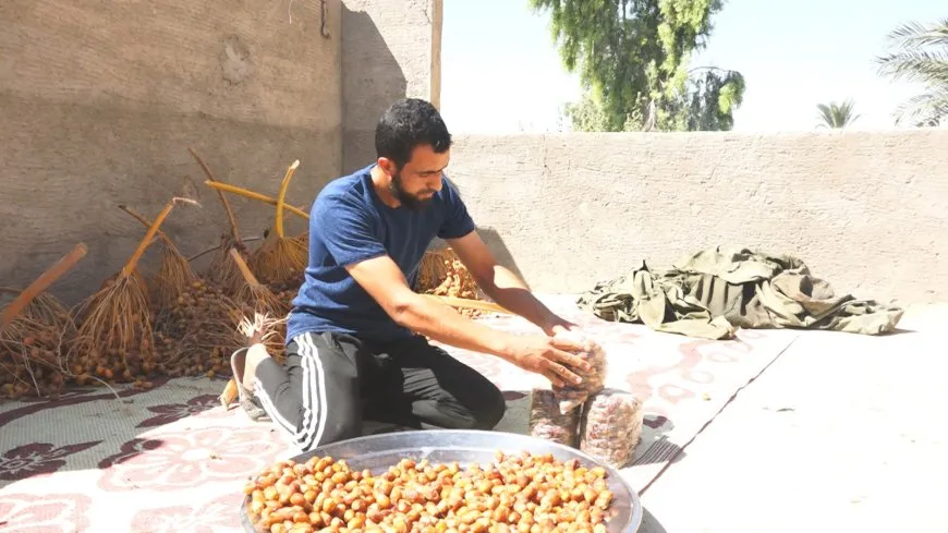 Bajarokê Baxozê pêdiviya xwe ji xurmeyan peyda dike