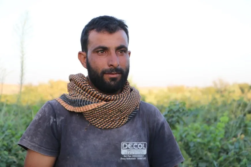 Piştî ku dewleta Tirk av girt darên li ber çemê Xabûrê tên birîn