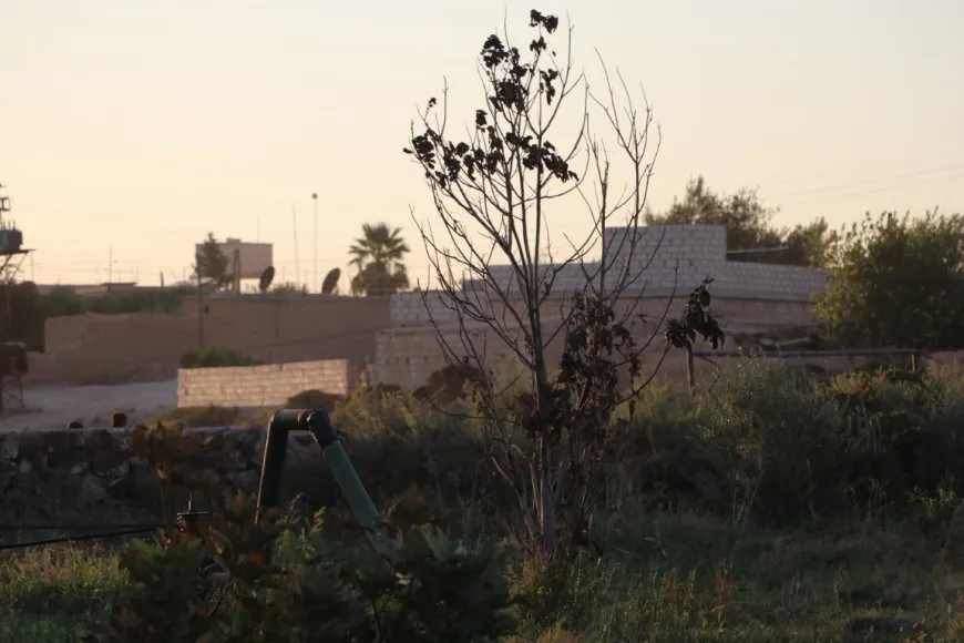 Piştî ku dewleta Tirk av girt darên li ber çemê Xabûrê tên birîn