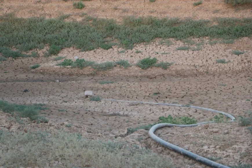 Piştî ku dewleta Tirk av girt darên li ber çemê Xabûrê tên birîn