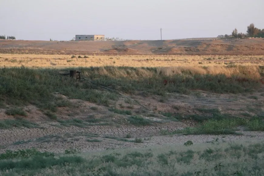 Piştî ku dewleta Tirk av girt darên li ber çemê Xabûrê tên birîn