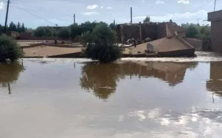 Li Holê rêjeya barîna baranê gihaşt 37 mm’yî