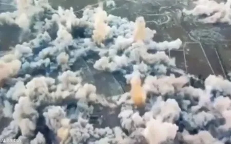 Artêşa Îsraîlê 37 bajarok wêran kirin