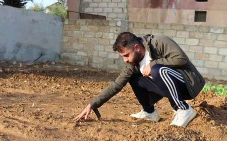Di hewşa mala xwe de dest bi çandina zaferanê kir