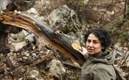 Dewleta Tirk xwezaya Kurdistanê dişewitîne