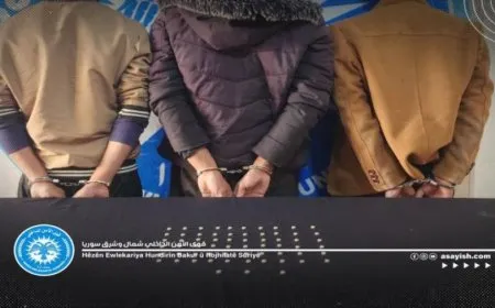 3 bazirganên hişbirê li Tebqayê hatin girtin