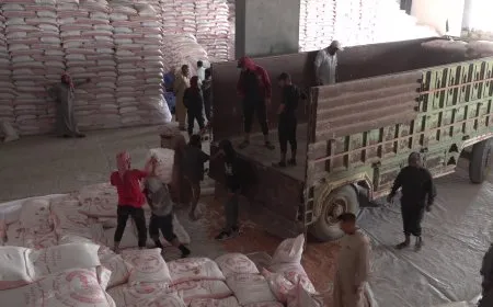 Li Reqayê 11 hezar ton tovê genim li cotkaran hatiye belavkirin