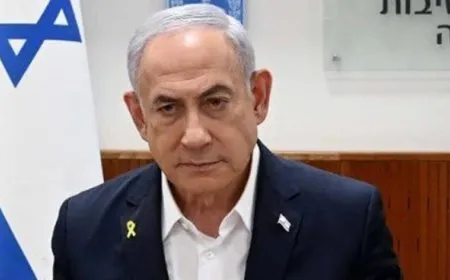 Helwestên der barê biryara li dijî Netanyahu de