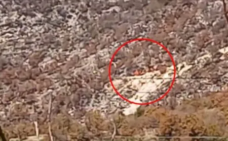 Belgeyeke din a firehkirina dewleta Tirk dagirkeriya xwe li Başûrê Kurdistanê