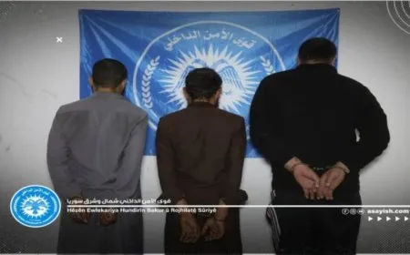 Serkirde û 2 çekdarên li dijî Hêzên Ewlekariya Hundirîn êriş pêk anîne hatin girtin