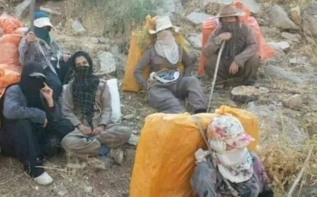 Hêzên Îranê Kolberek Jin Qatilkirin