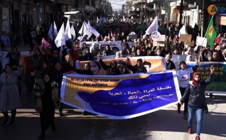 Meşên girseyî yên bi boneya 25’ê Mijdarê