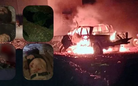 Ji Meclisa Leşkerî ya Minbicê çalakî: 17 çete li gundê Biwêhic hatin kuştin