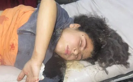 Zaroka di êrişa dagirkeran de birîndar bûbû şehîd bû