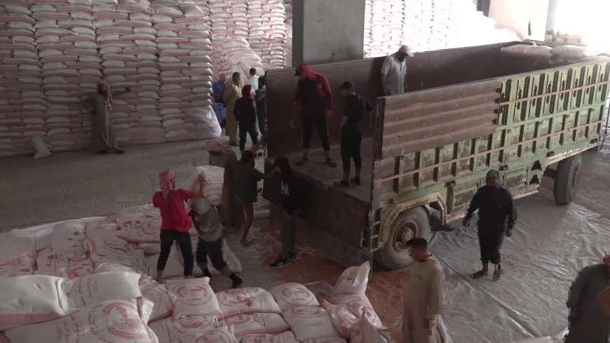 Li Reqayê 11 hezar ton tovê genim li cotkaran hatiye belavkirin