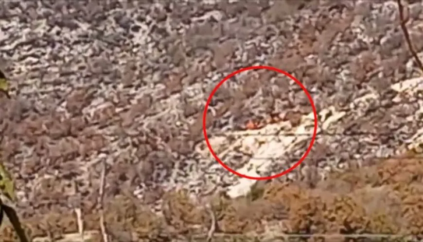Belgeyeke din a firehkirina dewleta Tirk dagirkeriya xwe li Başûrê Kurdistanê