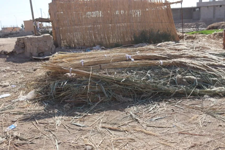 Çêkirina zerûban li Dêrazorê hê jî zindî ye