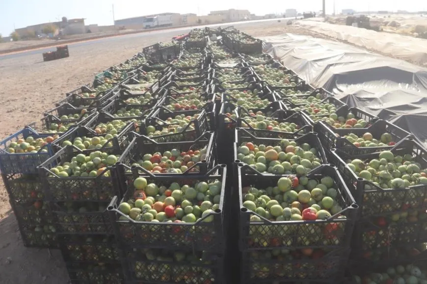 Rêbazek kevn a çandiniyê; bacanên kayê