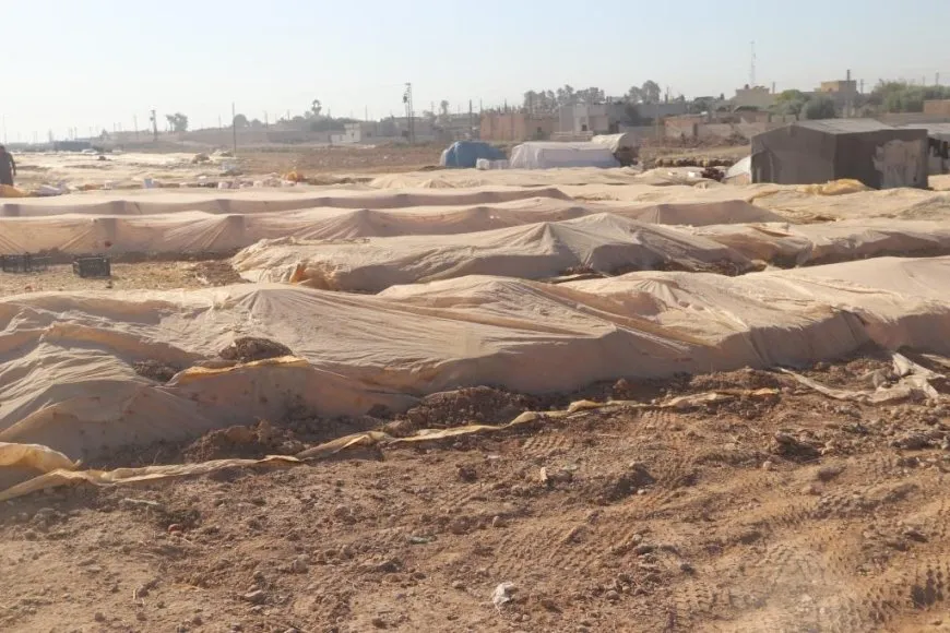 Rêbazek kevn a çandiniyê; bacanên kayê