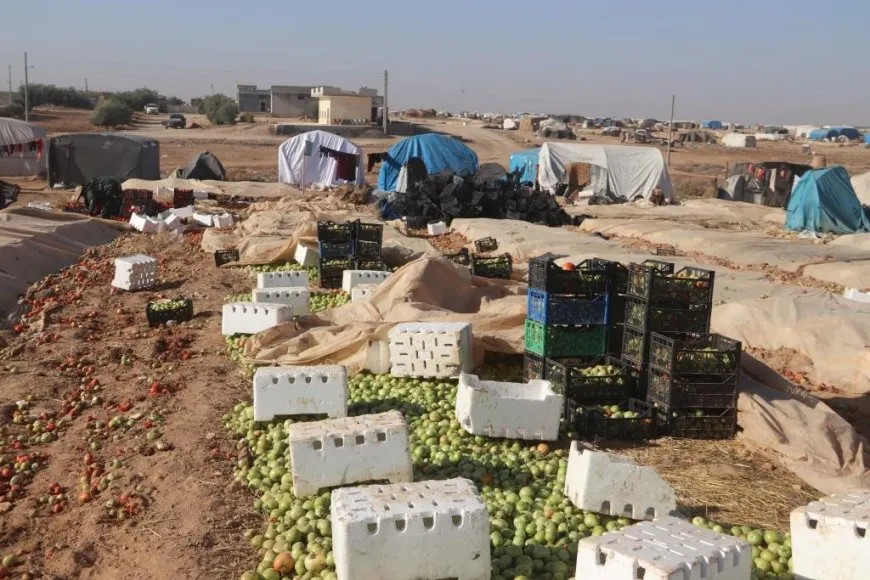 Rêbazek kevn a çandiniyê; bacanên kayê