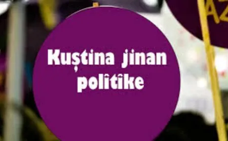 Di Mijdarê de li Bakur û Tirkiyeyê 31 jin hatin qetilkirin