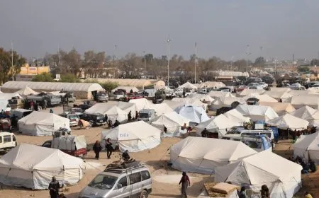 Koçberên ji Efrîn û Şehbayê û êş û azarên koçberiyê