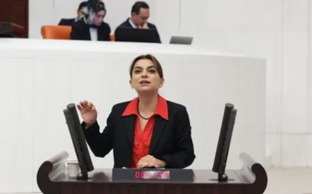 Gulîstan Kiliç Koçyîgît: Tirkiye piştgiriyê dide rêxistinên terorê