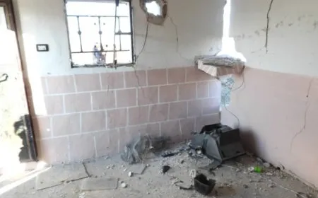 Dîmenên zirar bi malên welatiyên Eyn Îsa bûne