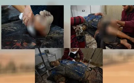 Bîlançoya 3 rojan a êrişên dewleta Tirk û çeteyên wê 