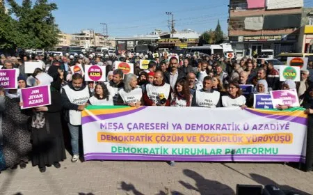 Meşa Çareserî û Azadiyê: Baweriyê bi hêza teorîk û pratîk a Ocalan bînin