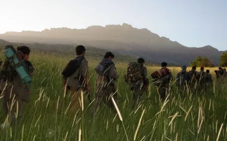 HPG: Hêzên PDK'ê gule li gerîlayan reşandin