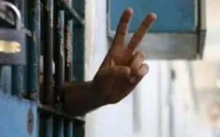 Girtiyan banga xwedîderketina li şoreşa Rojava kir
