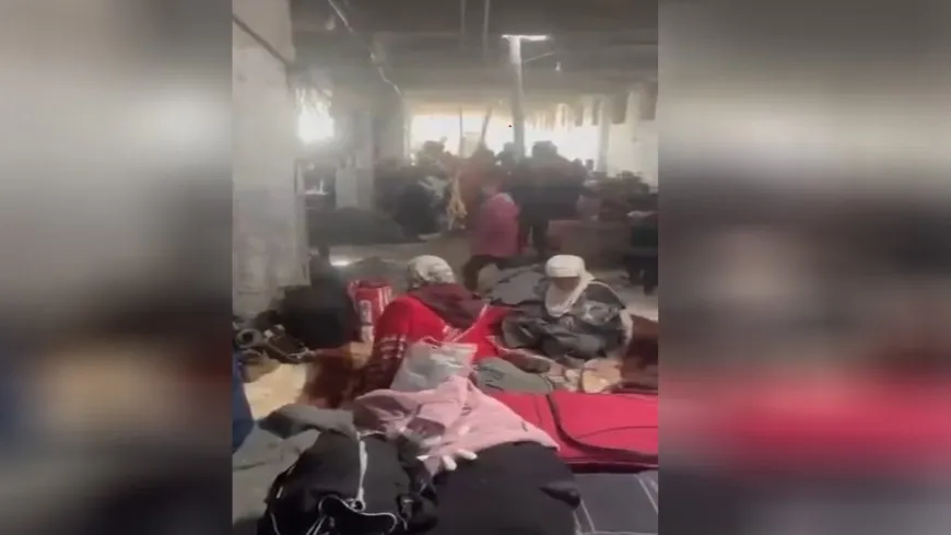 Ji şêniyên Nubil û Zehraa bangewazî