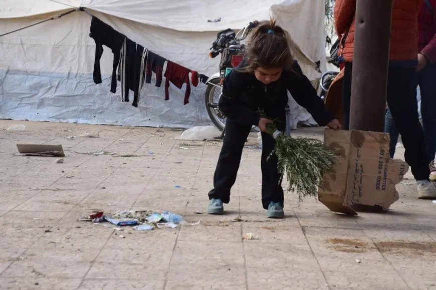 Koçberên ji Efrîn û Şehbayê û êş û azarên koçberiyê