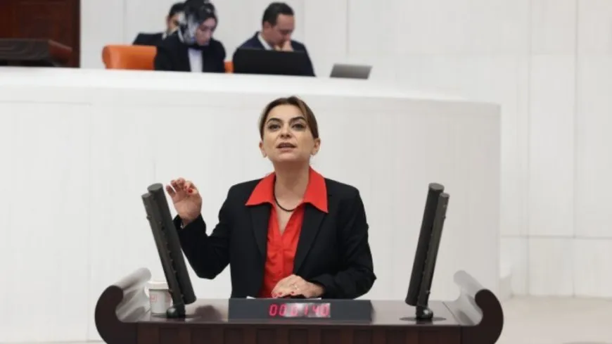 Gulîstan Kiliç Koçyîgît: Tirkiye piştgiriyê dide rêxistinên terorê