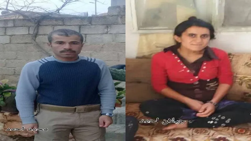Li Efrîn û Minbicê qetilkirin, revandin û talankirin
