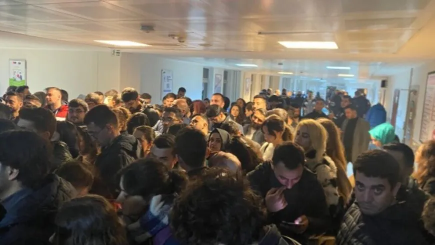 Cezayê muebeta girankirî li 3 bersûcên Narînê hate birîn