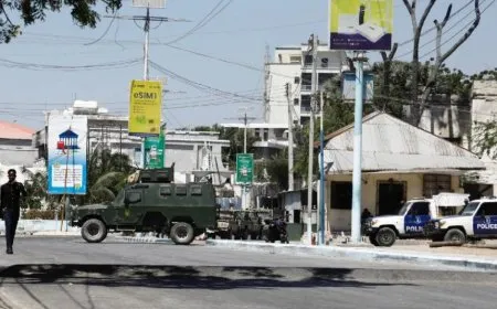 DAIŞ'ê êrişa dijî Somalê girt ser xwe