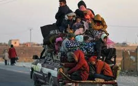 121 hezar koçberên ji Efrîn, Şehba û Helebê li benda alîkariyê ne