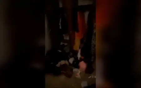 Çeteyan bi ser maleke Efrînê de girt