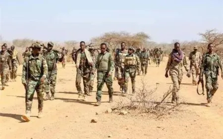 Li Somaliyê 16 çeteyên Tevgera El Şebab hatin kuştin