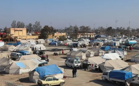 Koçberên ji Efrîn û Şehbayê: Divê dagirkeran ji herêmên me derxin